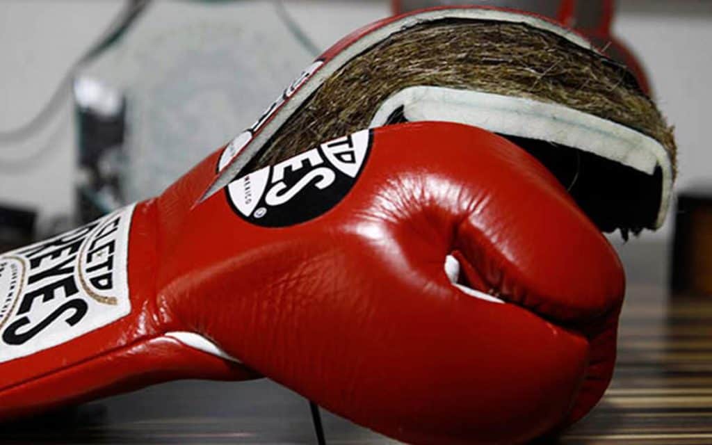 cut open boxing gloves revealing horse hair