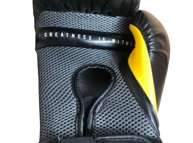 the mesh lining spanning across the palm of the everlast pro style elite 2.0 boxing gloves